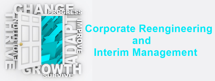 Corporate Re-engineering and Interim Management