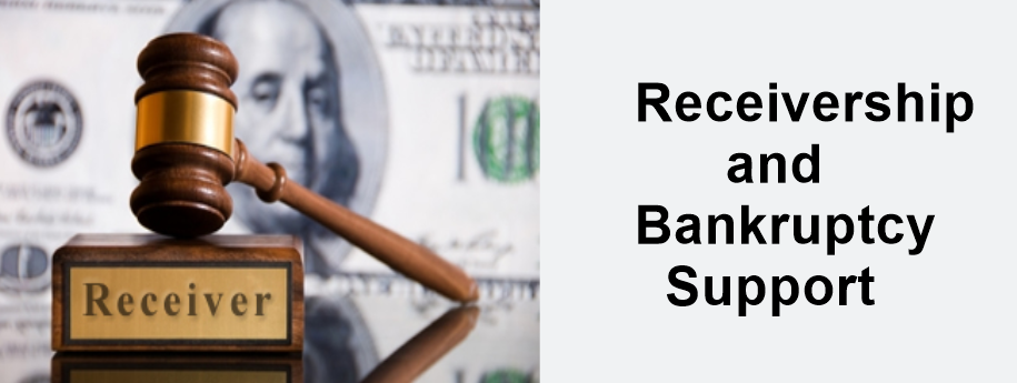 Receivership and Bankruptcy Support