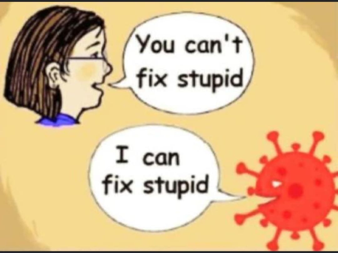 [Image: You-cant-fix-stupid...2.jpg]